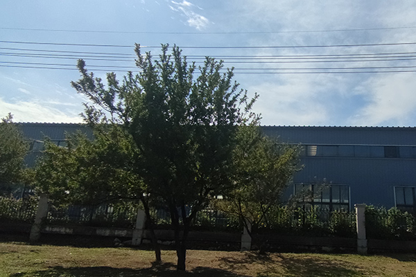 對于撫順鐵嶺沈陽彩鋼廠房的加工質量檢測至關重要